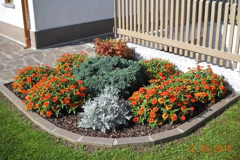 B&B L'Isola Delle Rose Sovramonte Bed & Breakfast
